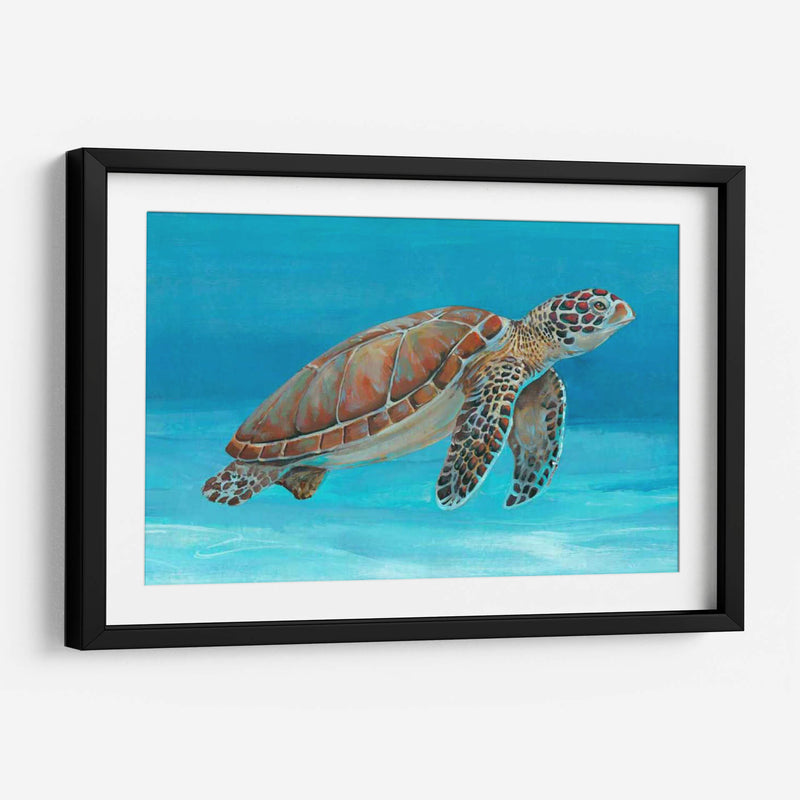 Tortuga Marina Del Océano I - Tim OToole | Cuadro decorativo de Canvas Lab