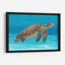 Tortuga Marina Del Océano I - Tim OToole | Cuadro decorativo de Canvas Lab