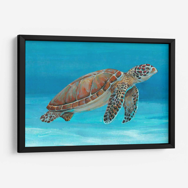 Tortuga Marina Del Océano I - Tim OToole | Cuadro decorativo de Canvas Lab