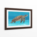Tortuga Marina Del Océano I - Tim OToole | Cuadro decorativo de Canvas Lab
