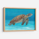 Tortuga Marina Del Océano I - Tim OToole | Cuadro decorativo de Canvas Lab