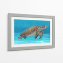 Tortuga Marina Del Océano I - Tim OToole | Cuadro decorativo de Canvas Lab