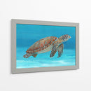 Tortuga Marina Del Océano I - Tim OToole | Cuadro decorativo de Canvas Lab