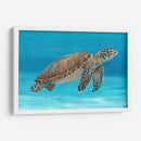 Tortuga Marina Del Océano I - Tim OToole | Cuadro decorativo de Canvas Lab