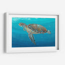 Ocean Sea Turtle Ii - Tim OToole | Cuadro decorativo de Canvas Lab
