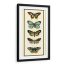 Colector De Mariposa Vi - Chariklia Zarris | Cuadro decorativo de Canvas Lab