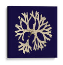 Algas Marina En La Marina I - Vision Studio | Cuadro decorativo de Canvas Lab