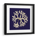 Algas Marina En La Marina I - Vision Studio | Cuadro decorativo de Canvas Lab