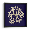 Algas Marina En La Marina I - Vision Studio | Cuadro decorativo de Canvas Lab