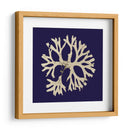 Algas Marina En La Marina I - Vision Studio | Cuadro decorativo de Canvas Lab