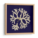 Algas Marina En La Marina I - Vision Studio | Cuadro decorativo de Canvas Lab