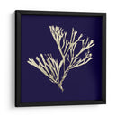 Algas Marinas En La Marina Ii - Vision Studio | Cuadro decorativo de Canvas Lab