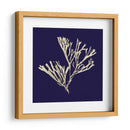 Algas Marinas En La Marina Ii - Vision Studio | Cuadro decorativo de Canvas Lab