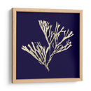 Algas Marinas En La Marina Ii - Vision Studio | Cuadro decorativo de Canvas Lab