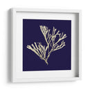 Algas Marinas En La Marina Ii - Vision Studio | Cuadro decorativo de Canvas Lab