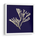 Algas Marinas En La Marina Ii - Vision Studio | Cuadro decorativo de Canvas Lab