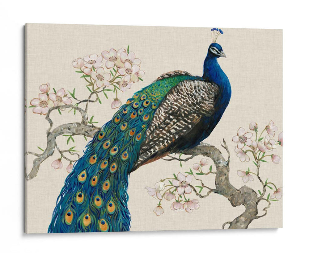 Pavo Real Y Flores I - Tim OToole | Cuadro decorativo de Canvas Lab