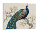 Pavo Real Y Flores I - Tim OToole | Cuadro decorativo de Canvas Lab