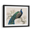 Pavo Real Y Flores I - Tim OToole | Cuadro decorativo de Canvas Lab