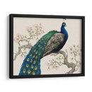 Pavo Real Y Flores I - Tim OToole | Cuadro decorativo de Canvas Lab