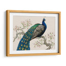 Pavo Real Y Flores I - Tim OToole | Cuadro decorativo de Canvas Lab