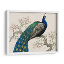 Pavo Real Y Flores I - Tim OToole | Cuadro decorativo de Canvas Lab