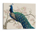 Peacock Y Blossoms Ii - Tim OToole | Cuadro decorativo de Canvas Lab