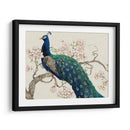 Peacock Y Blossoms Ii - Tim OToole | Cuadro decorativo de Canvas Lab