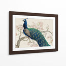 Peacock Y Blossoms Ii - Tim OToole | Cuadro decorativo de Canvas Lab