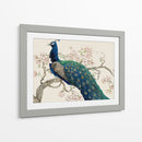 Peacock Y Blossoms Ii - Tim OToole | Cuadro decorativo de Canvas Lab