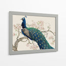 Peacock Y Blossoms Ii - Tim OToole | Cuadro decorativo de Canvas Lab