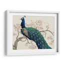 Peacock Y Blossoms Ii - Tim OToole | Cuadro decorativo de Canvas Lab