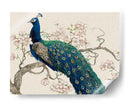 Peacock Y Blossoms Ii - Tim OToole | Cuadro decorativo de Canvas Lab