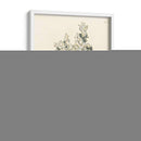 Coral Antiguo I - Vision Studio | Cuadro decorativo de Canvas Lab