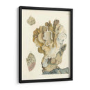 Antiguo Coral Iv - Vision Studio | Cuadro decorativo de Canvas Lab