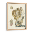 Antiguo Coral Iv - Vision Studio | Cuadro decorativo de Canvas Lab