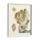 Antiguo Coral Iv - Vision Studio | Cuadro decorativo de Canvas Lab
