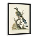 Pasado En La Naturaleza Ii - George Edwards | Cuadro decorativo de Canvas Lab