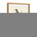 Pasado En La Naturaleza Ii - George Edwards | Cuadro decorativo de Canvas Lab