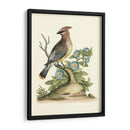 Pasado En La Naturaleza Iii - George Edwards | Cuadro decorativo de Canvas Lab