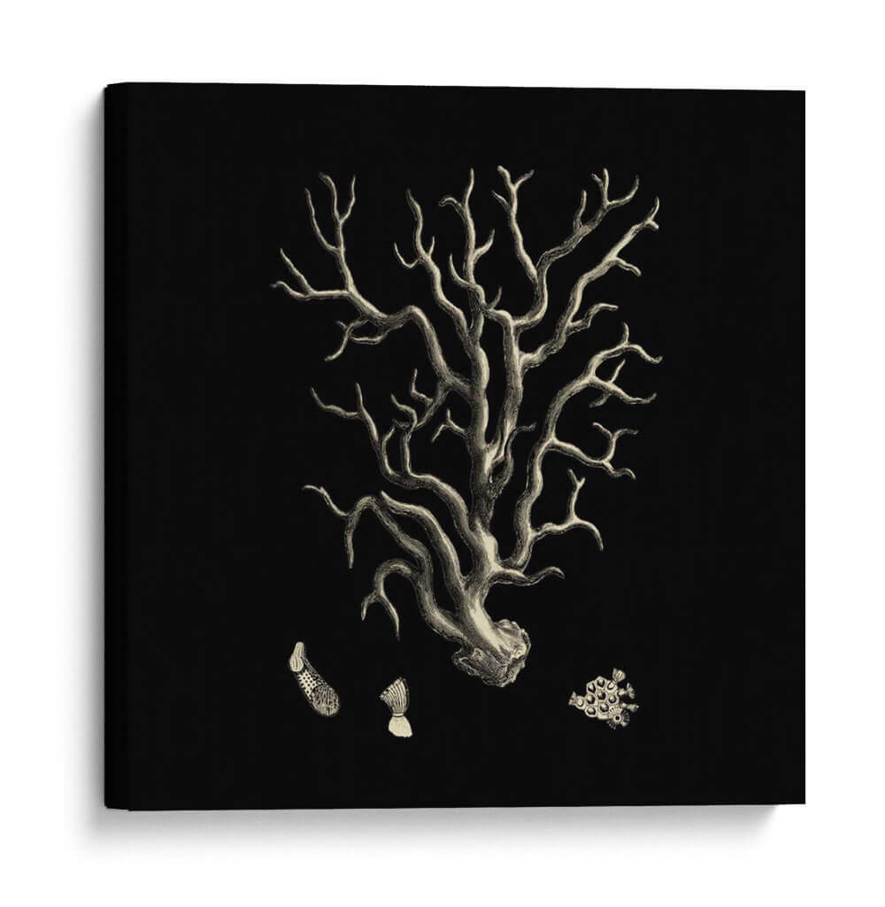 Coral Negro Y Bronceado I - Vision Studio | Cuadro decorativo de Canvas Lab