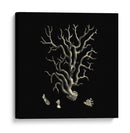 Coral Negro Y Bronceado I - Vision Studio | Cuadro decorativo de Canvas Lab