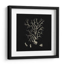 Coral Negro Y Bronceado I - Vision Studio | Cuadro decorativo de Canvas Lab