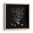 Coral Negro Y Bronceado I - Vision Studio | Cuadro decorativo de Canvas Lab