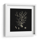 Coral Negro Y Bronceado I - Vision Studio | Cuadro decorativo de Canvas Lab