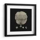 Negro Y Tan Coral Ii - Vision Studio | Cuadro decorativo de Canvas Lab