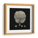 Negro Y Tan Coral Ii - Vision Studio | Cuadro decorativo de Canvas Lab