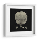 Negro Y Tan Coral Ii - Vision Studio | Cuadro decorativo de Canvas Lab