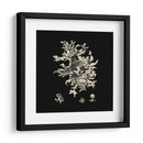 Negro Y Tan Coral Iii - Vision Studio | Cuadro decorativo de Canvas Lab