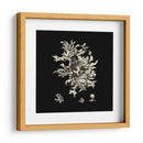 Negro Y Tan Coral Iii - Vision Studio | Cuadro decorativo de Canvas Lab